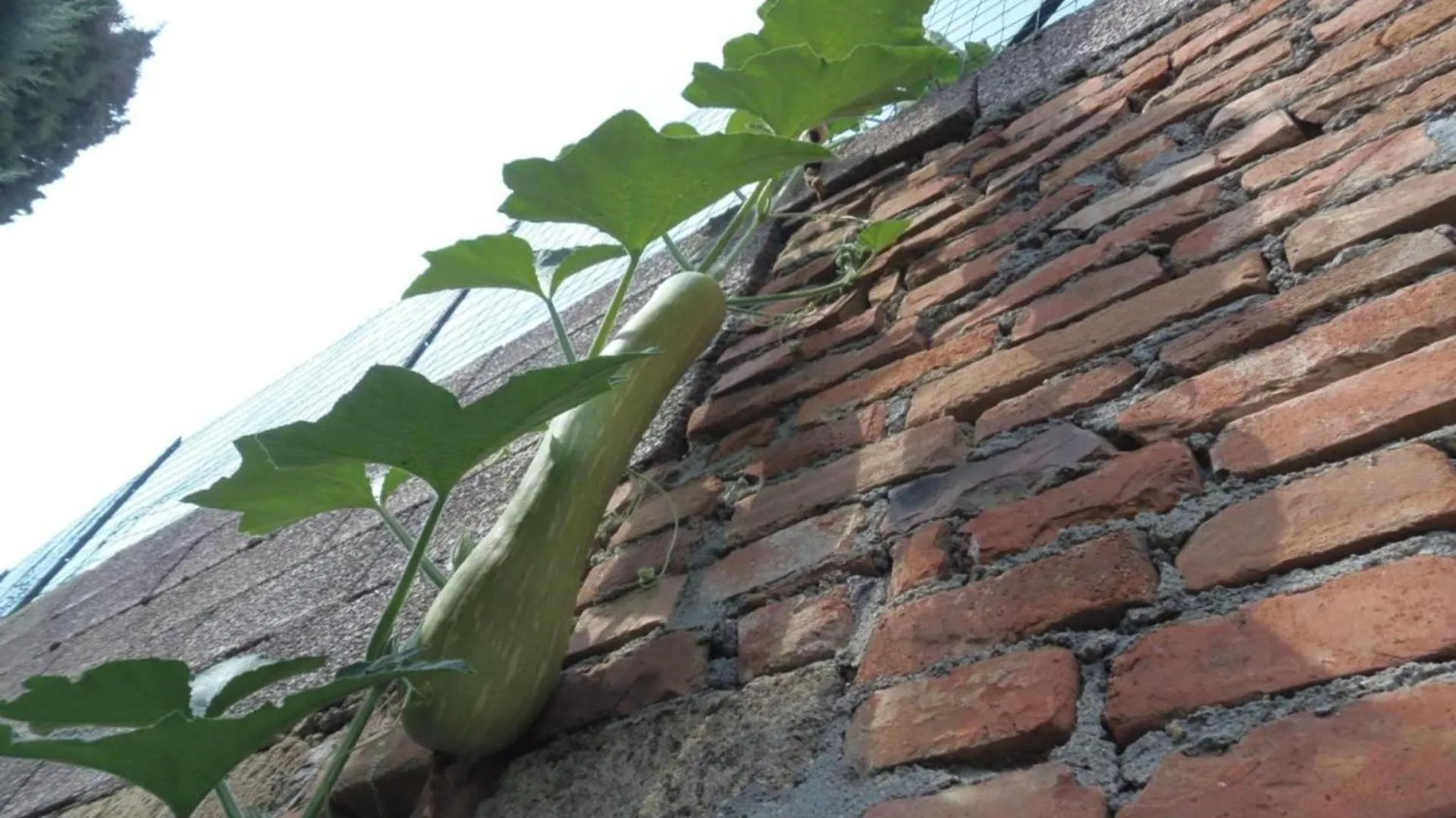 Gospodarstwo agroturystyczne Agriturismo La Capacciola Sinalunga Włochy