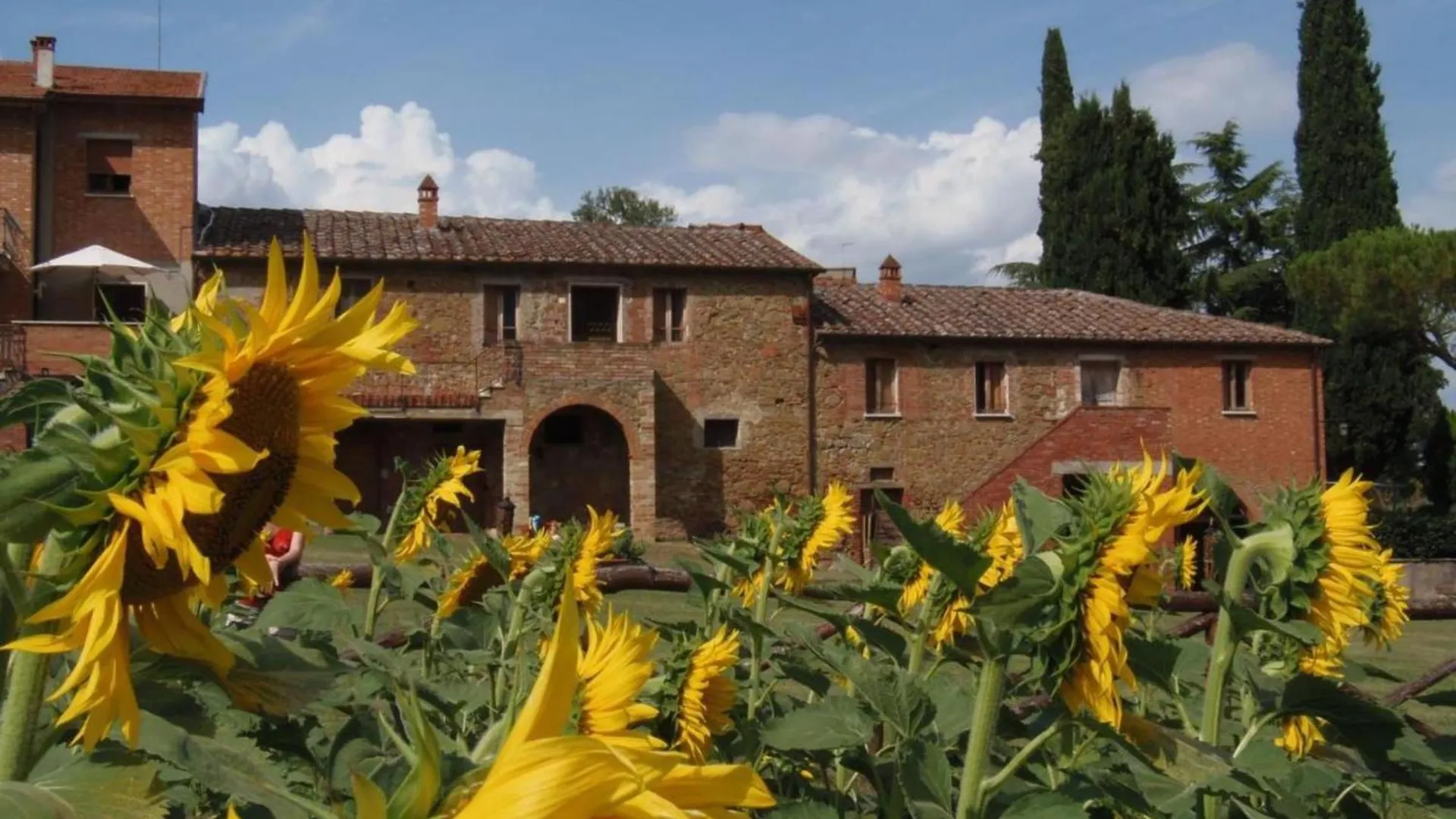 Farm stay Agriturismo La Capacciola Sinalunga